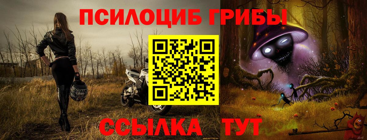 Димитровград  сколько стоит  Галлюциногенные грибы мицелий  Вход с VPN  Галлюциногенные грибы GOLDEN TEACHER 